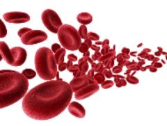 Общий анализ крови в лаборатории: решение сложных вопросов