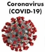 Запись вебинара «Новая коронавирусная инфекция COVID-19/профилактика и снижение рисков распространения новой коронавирусной инфекции COVID-19. Лабораторная диагностика»