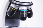 5 сентября начинается информационный онлайн-курс по микроскопии в клинико-лабораторной практике