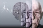 У людей, говорящих на нескольких языках, симптомы болезни Альцгеймера проявляются позже