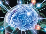Исследование мозга на молекулярном уровне