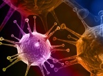 Ретровирусы участвуют в защите организма от бактерий и вирусов