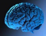 Обнаружены новые генетические факторы опухолей мозга