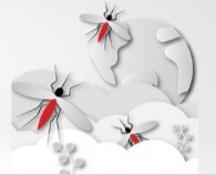 25 апреля Всемирный день борьбы с малярией