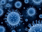 Изменчивость и устойчивость мутаций вируса гепатита C NS3 протеазы у пациентов, не получавших ингибиторы протеазы
