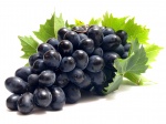 Потребление винограда уменьшает риск развития остеопороза