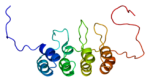 Вирус паппиломы человека и экспрессия белка р16 в качестве прогностических биомаркеров при раке подвижной части языка