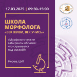 Совершенствуйте свои знания в области онкогематологии в Школе морфолога