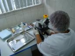 Медработники «ГКБ им. М.А. Тверье» в Перми просят не ликвидировать лаборатории в стационарах