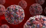 Антибактериальные препараты могут помочь в борьбе с норовирусом
