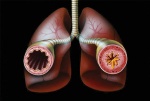Связь между набором массы после рождения и развитием бронхиальной астмы