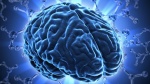 Заикание связано с аномалией в речевом центре мозга