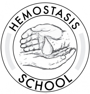 6-я Школа гемостаза состоится в Санкт-Петербурге.