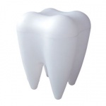 Роль кератинов в формировании и поддержании целостности зубной эмали