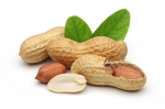 Разработка нового метода борьбы с аллергией на арахис