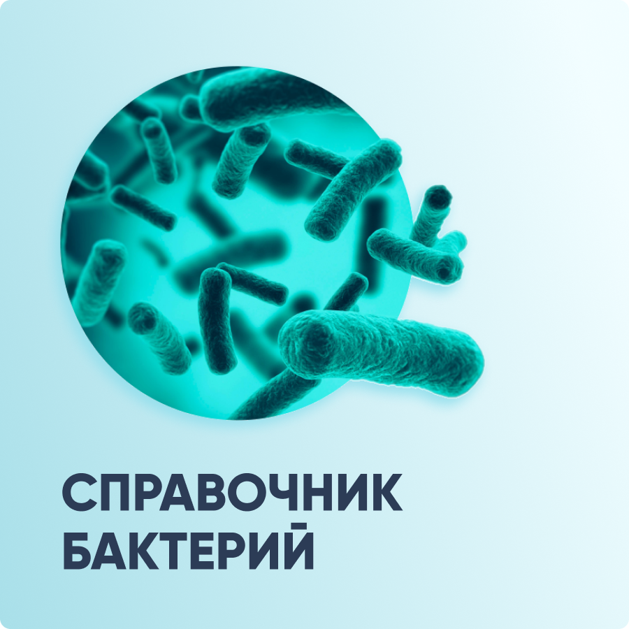 Справочник бактерий
