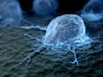 Обнаружен метод преобразования раковых клеток в имунные