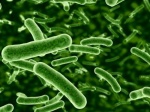 Исследование эффективности упрощенного протокола лечения бактериальных инфекций