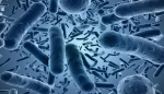 «Антимикробная терапия при муковисцидозе: микробиологические аспекты»