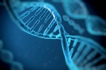 Расстройства питания могут влиять на ДНК