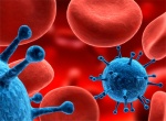 Исследование влияния иммунной системы на вирусный онколизис