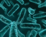 Микробиом кожи можно будет использовать для защиты от венерических заболеваний