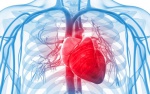 Прогностическая роль высокочувствительного сердечного тропонина I и растворимого ST-2 у пациентов хирургического подразделения интенсивной терапии, перенесших несердечную хирургию