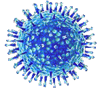 Анализ генома эволюционных маркеров вируса гриппа А (H1N1) pdm09 и A (H3N2)