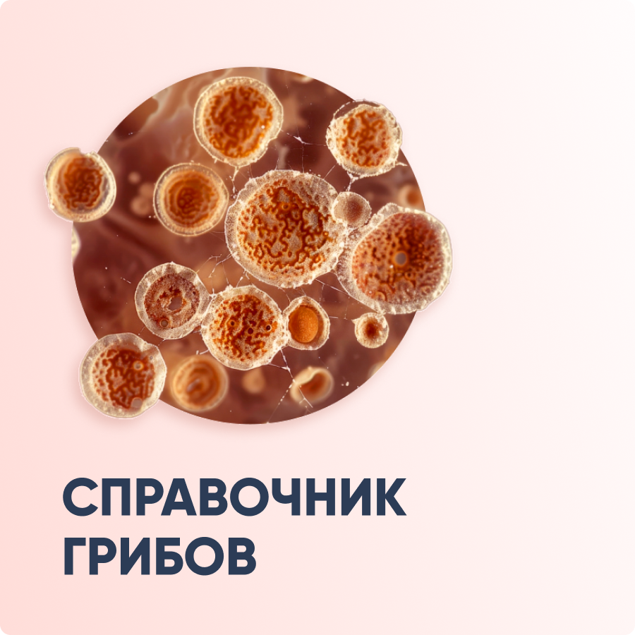Справочник грибов