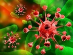 Противоаллергическое средство может помочь в лечении гепатита С