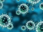 Выявлен новый коронавирус, вызывающий пневмонию
