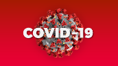 Полный перечень диагностических тестов для выявления коронавируса в России на 18 августа