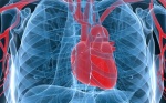 Ревматоидный артрит поывшает риск развития инфаркта миокарда