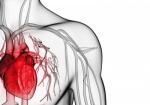Прогностическая значимость повышенного уровня сердечного тропонина при остром расслоении аорты