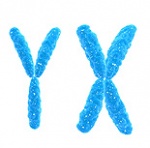 "Дефицитная" хромосома