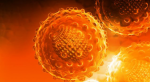 Исследование вируса гепатита А