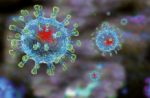 Утвержден комплекс мер по борьбе с новой коронавирусной инфекцией 