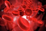 Исследование связи риска развития ИБС с группой крови