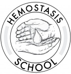 Школа Гемостаза «Тромботические и геморрагические осложнения  в акушерстве, гинекологии и неонатологии» пройдет 8-9 декабря 2017 г. в Перми.