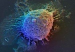 Разработка нового метода лечения раковых опухолей